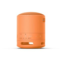 Enceinte Sony publicitaire SRS-XB100