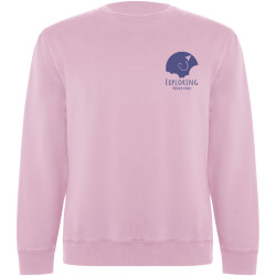 Pull publicitaire ras du cou Batian unisexe Pull publicitaire ras du cou Batian unisexe