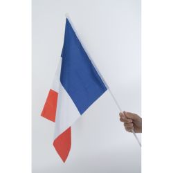 Drapeau France personnalisé Express