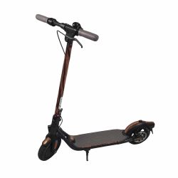 Trottinette électrique publicitaire Segway Ninebot KickScooter F25E II