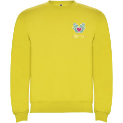 Pull publicitaire ras du cou Clasica unisexe Roly Pull publicitaire ras du cou Clasica unisexe Roly