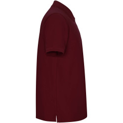 Polo publicitaire Pegaso Premium à manches courtes pour homme 190 g/m2 Roly Polo publicitaire Pegaso Premium à manches courtes pour homme 190 g/m2 Roly