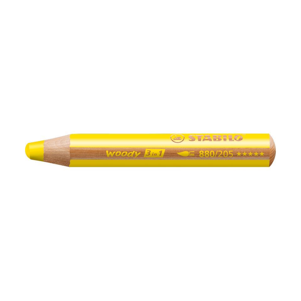 Stabilo Woody crayons de couleur, aquarelle et crayon de cire personnalisé