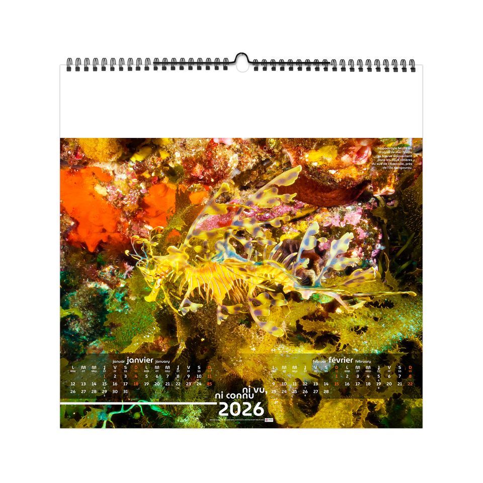 Calendrier 7 feuillets publicitaire Ni vu, ni connu Grand format