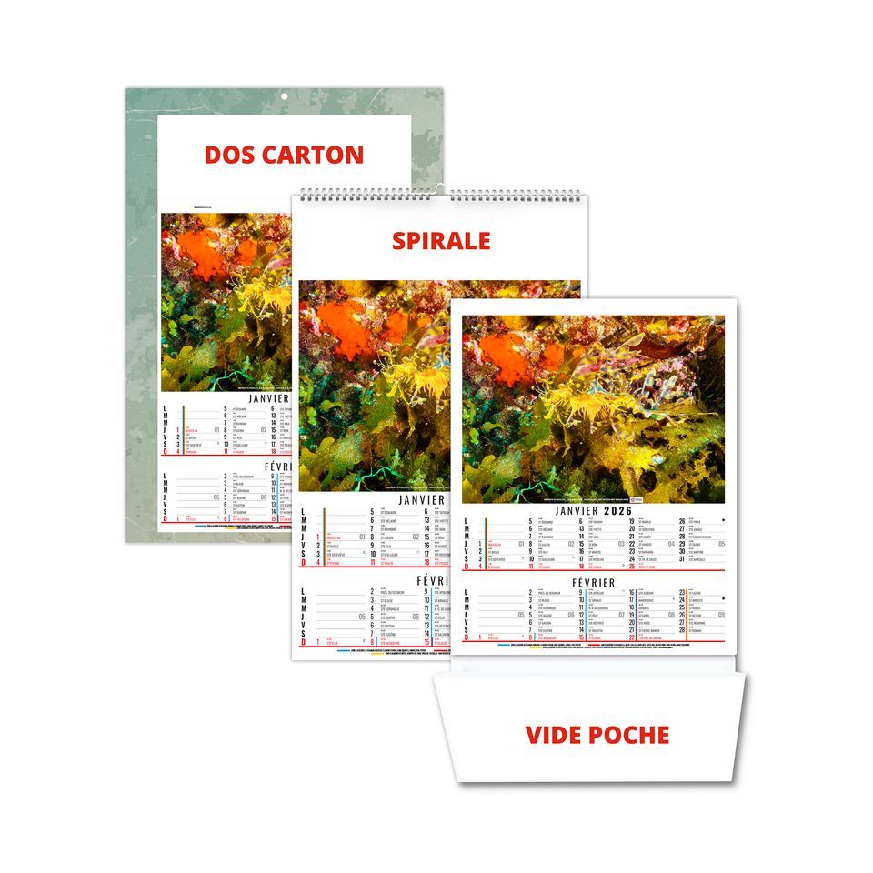 Calendrier personnalisable fabriqué en France 6 feuillets Anna