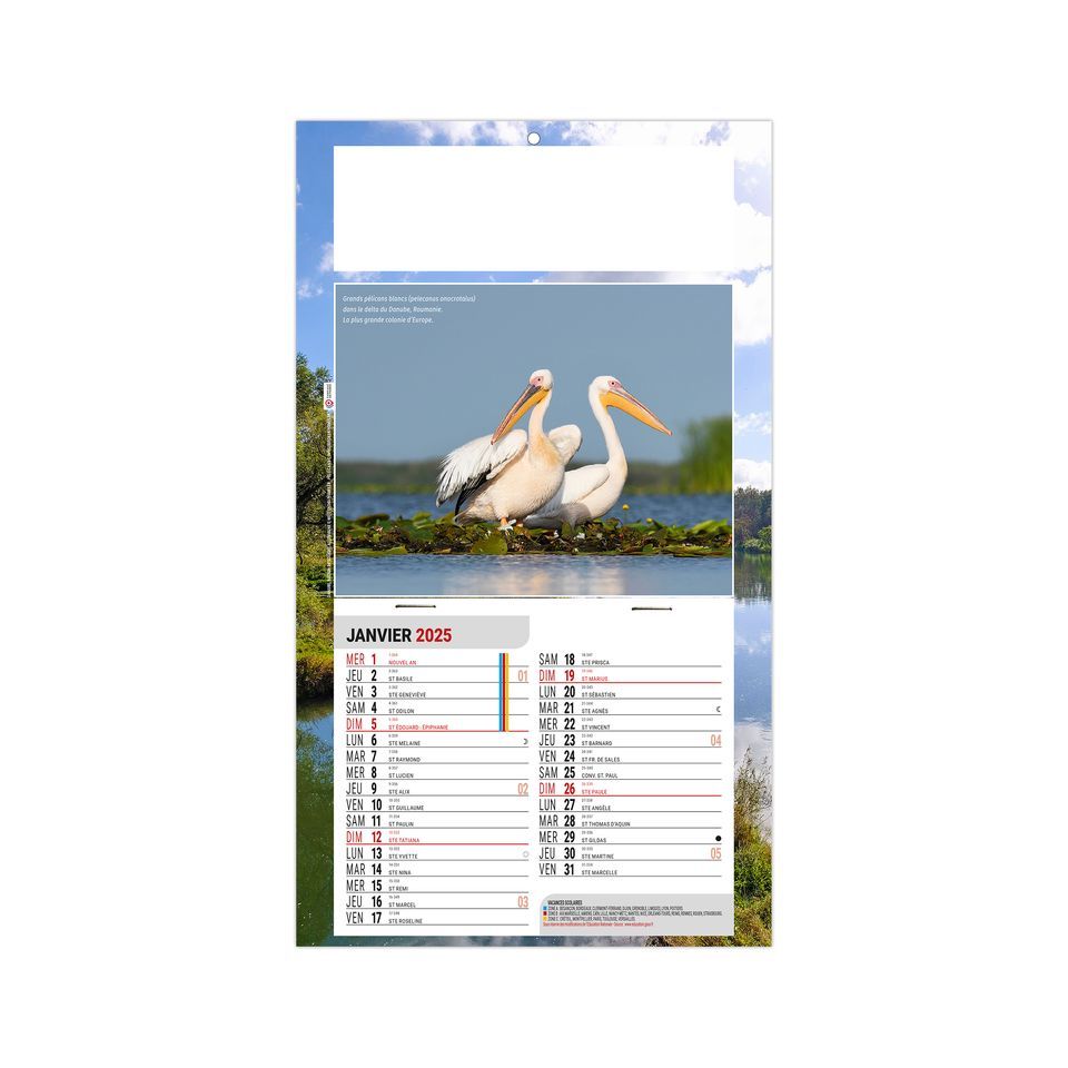 Calendrier personnalisable fabriqué en France 1 Vue Léo