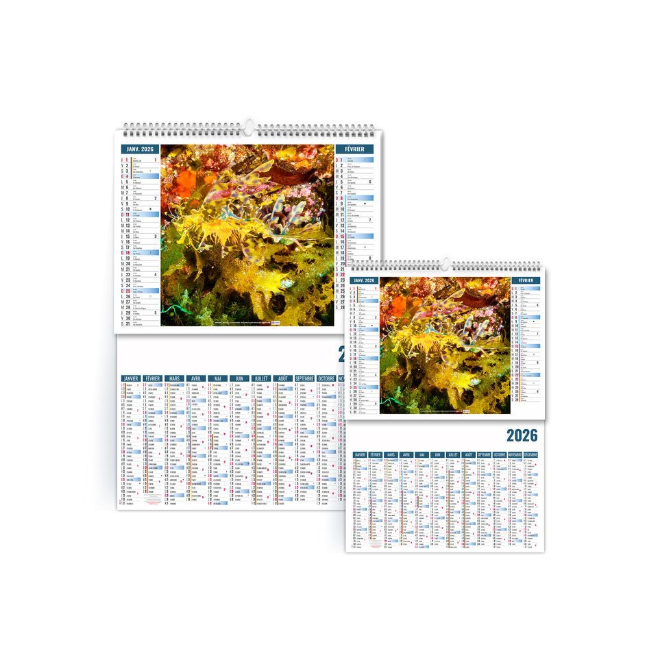 Calendrier personnalisé fabriqué en France 2 en 1 Bouquet