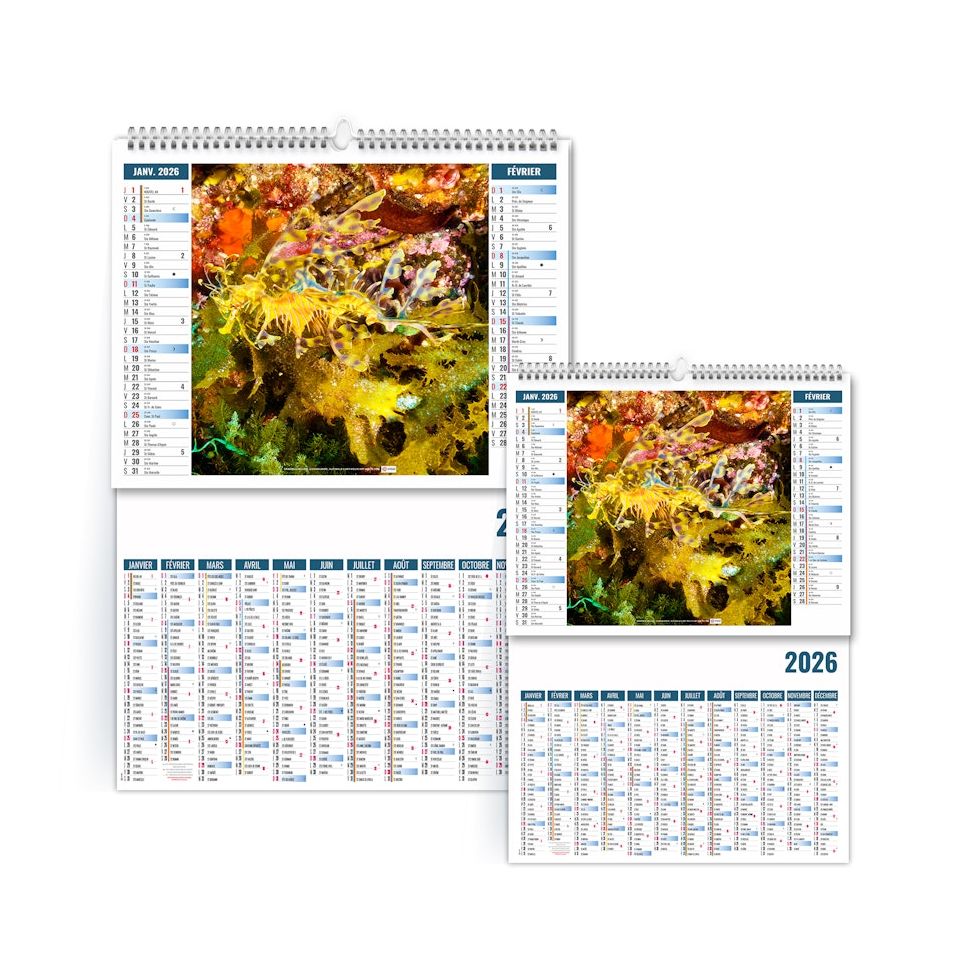 Calendrier personnalisable fabriqué en France Camouflage 2 en 1