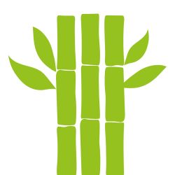 Limes à ongles en bambou personnalisé