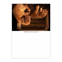 Calendrier de poche personnalisable fabriqué en France Fidèle Calendrier de poche personnalisable fabriqué en France Fidèle