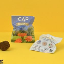 Palet à graines publicitaire en sachet papillotte 60x80mm écologique Europe