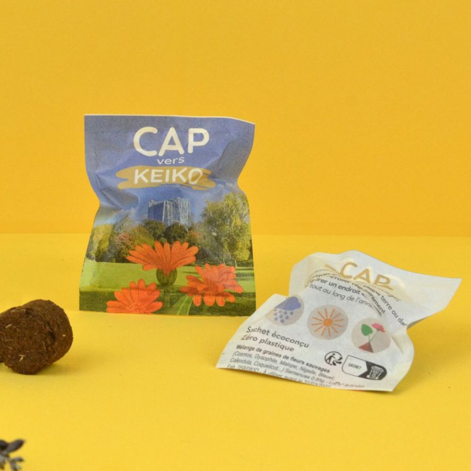 Palet à graines publicitaire en sachet papillotte 60x80mm écologique Europe