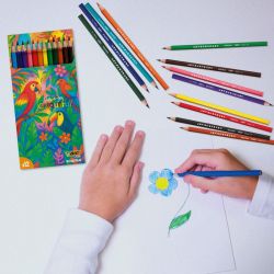 Set de 12 crayons de couleur BIC publicitaire fabriqué en France