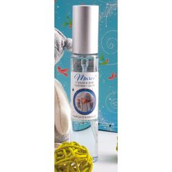 Spray d’ambiance personnalisable fabriqué en France 30 ml Spray d’ambiance personnalisable fabriqué en France 30 ml