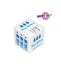 Mini Mint-it Cube bonbons publicitaires express quadri