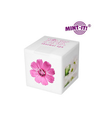 Mini Mint-it Cube bonbons publicitaires express quadri