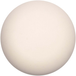 Enceinte publicitaire et lampe JBL portables Kooduu Sensa Play