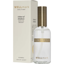 Spray publicitaire d’ambiance 100 ml Wellmark