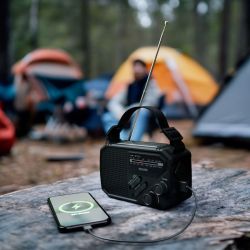 Radio personnalisée d’urgente Philips TAR1609 FM/AM et lampe de poche