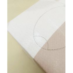 Boîte rectangulaire personnalisée de mouchoir papier 100% biodégradable fabriquée en Europe