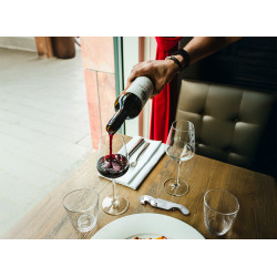 Sommelier publicitaire Mendoza  double levier