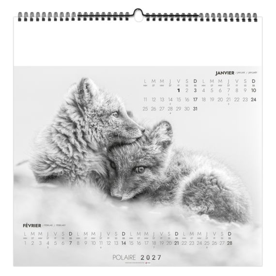 Calendrier personnalisable fabriqué en France 7 feuillets Seul au Monde grand format