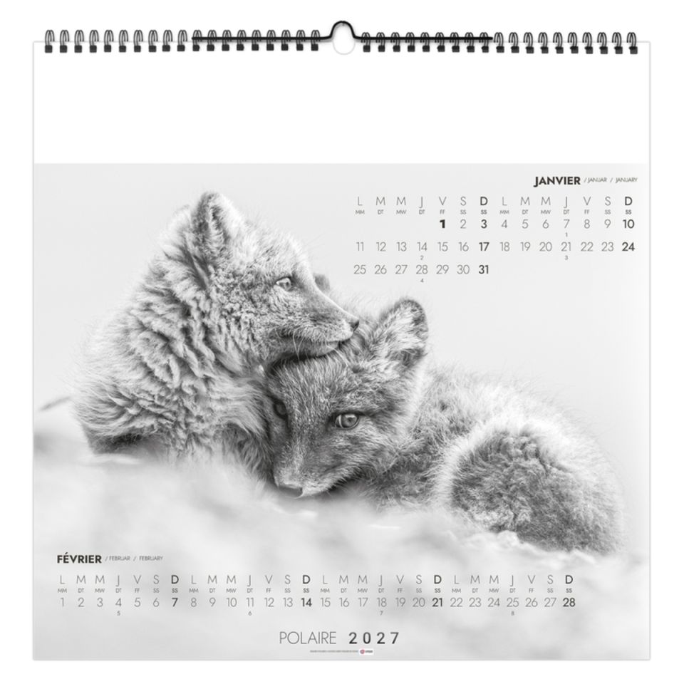 Calendrier personnalisable fabriqué en France 7 feuillets Seul au Monde grand format