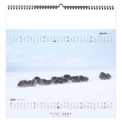 Calendrier personnalisable fabriqué en France 7 feuillets Seul au Monde grand format