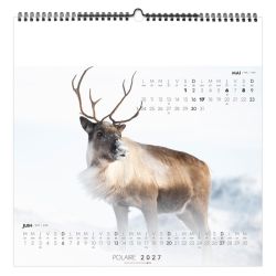 Calendrier personnalisable fabriqué en France 7 feuillets Seul au Monde grand format