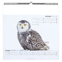 Calendrier personnalisable fabriqué en France 7 feuillets Seul au Monde grand format