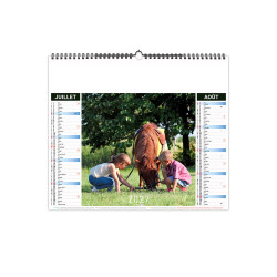 Calendrier économique publicitaire fabriqué en France 6 feuillets Copains