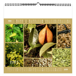 Calendrier économique publicitaire fabriqué en France 6 feuillets Herbes