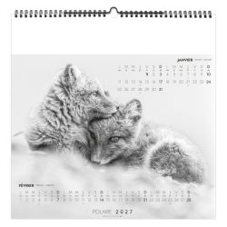 Calendrier économique publicitaire 6 feuillets Neige
