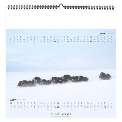 Calendrier économique publicitaire 6 feuillets Neige