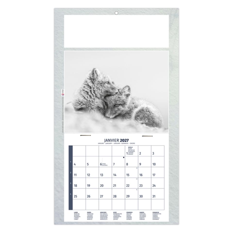 Calendrier publicitaire fabriqué en France 1 Vue Julietta