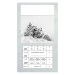 Calendrier publicitaire fabriqué en France 1 Vue Julietta