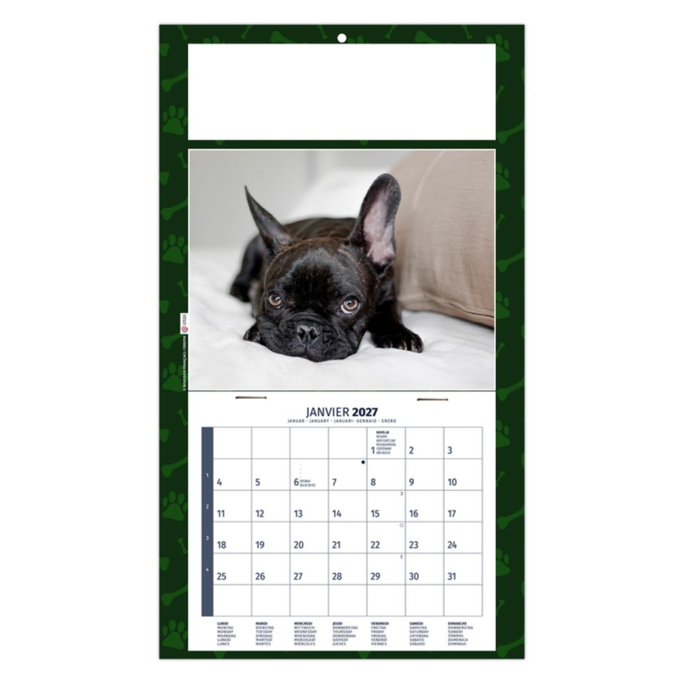 Calendrier personnalisé fabriqué en France 1 Vue Rex