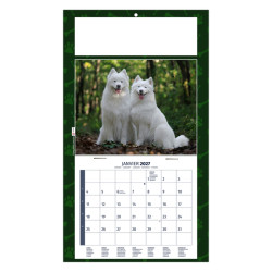 Calendrier personnalisé fabriqué en France 1 Vue Rex