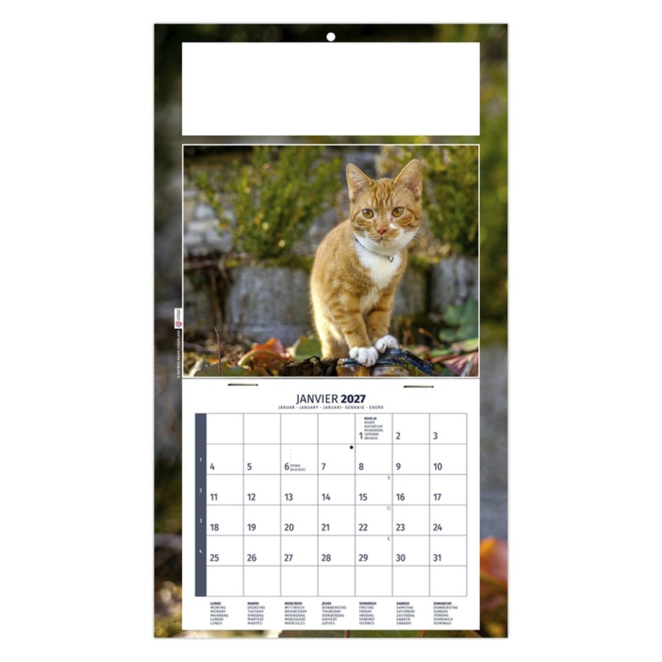 Calendrier personnalisé fabriqué en France 1 Vue César