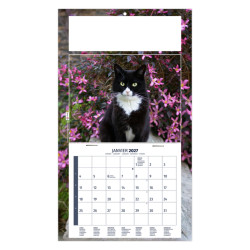 Calendrier personnalisé fabriqué en France 1 Vue César