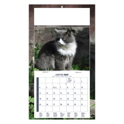 Calendrier personnalisé fabriqué en France 1 Vue César