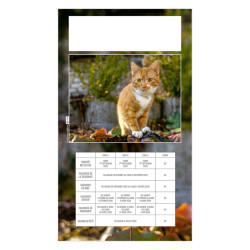 Calendrier personnalisé fabriqué en France 1 Vue César