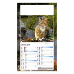 Calendrier personnalisé fabriqué en France 1 Vue César