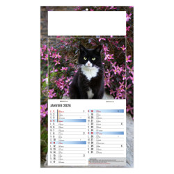 Calendrier personnalisé fabriqué en France 1 Vue César