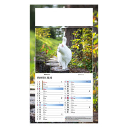 Calendrier personnalisé fabriqué en France 1 Vue César