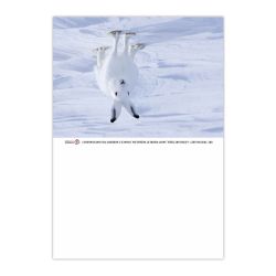 Calendrier de poche personnalisable fabriqué en France Tristan