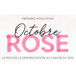 StyloBIC® personnalisable fabriqué en France 4 couleurs Rose