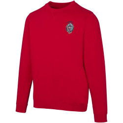 Pull publicitaire à col rond de 280 g/m² Jasper bio certifié OCS recyclé unisexe