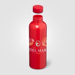 Gourde personnalisée Norden brillante monochrome étanche 680 ml RPET recyclé Express