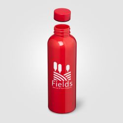 Gourde personnalisée Norden brillante monochrome étanche 680 ml RPET recyclé Express